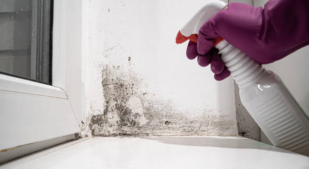 Best Residential water damage restoration  in Woodburn, OR